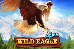 Sloto'Cash Casino background