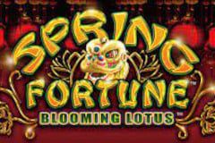 Sloto'Cash Casino background