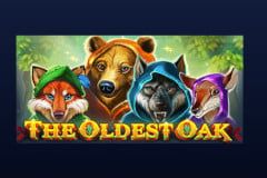 Sloto'Cash Casino background