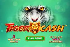 Sloto'Cash Casino background