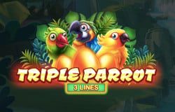 Sloto'Cash Casino background