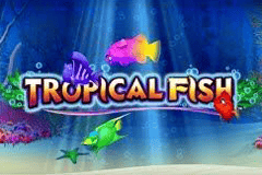 Sloto'Cash Casino background