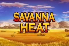 Sloto'Cash Casino background