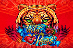 Sloto'Cash Casino background