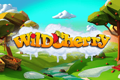 Sloto'Cash Casino background