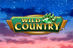 Sloto'Cash Casino background