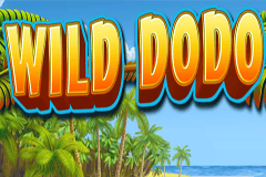 Sloto'Cash Casino background