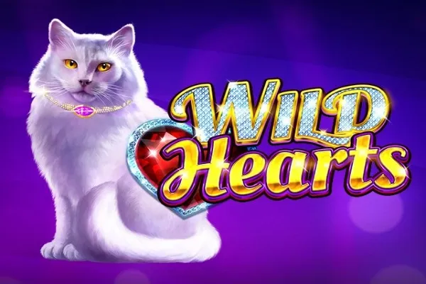 Sloto'Cash Casino background