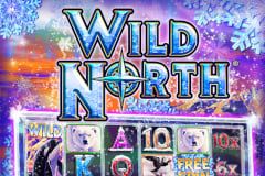 Sloto'Cash Casino background