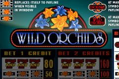 Sloto'Cash Casino background