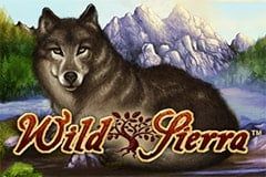 Sloto'Cash Casino background