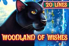 Sloto'Cash Casino background