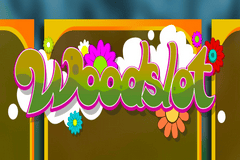 Sloto'Cash Casino background