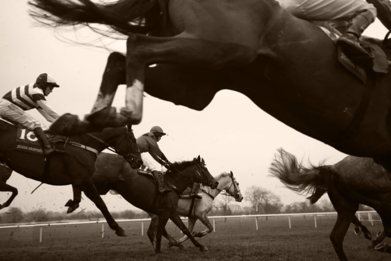 Jumping horses