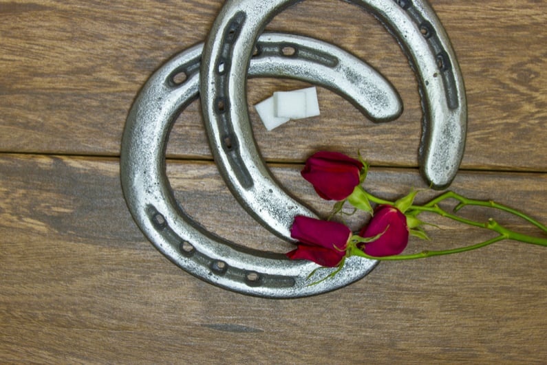 Kentucky Derby red roses with horse shoes and sugar cubes on barn wood background