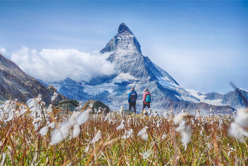 Hiking in the swiss alps with flower field and the Matterhorn peak in the background.