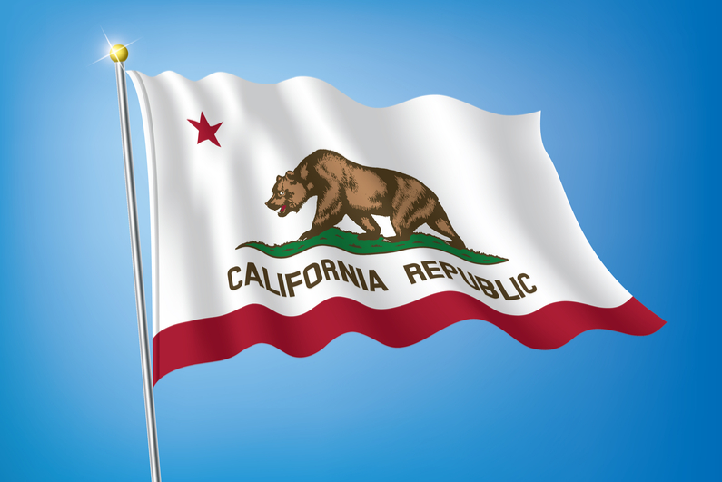 The California state flag