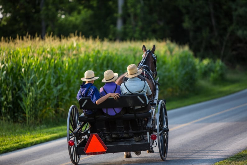 Three young Amish men in open buggy