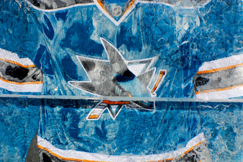 San Jose Sharks jersey in an ice block
