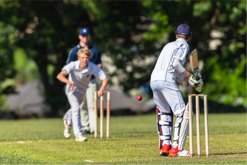 cricket team