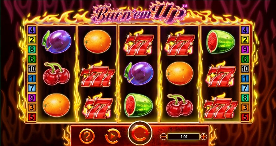 1tygkumgir - Cool Cat Casino No Rules No Deposit Bonus Codes Slot