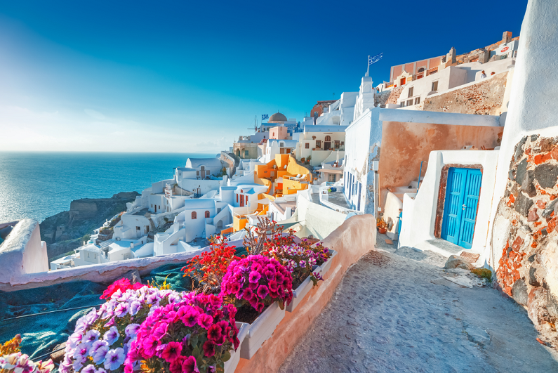Houses on small street with flowers in foreground in Santorini, Greece.