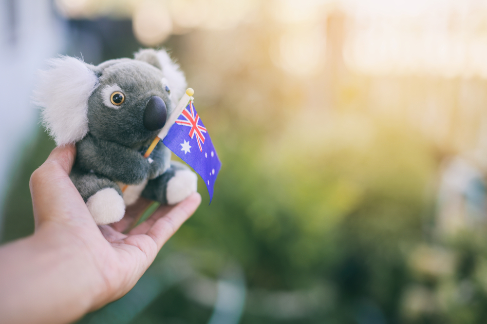 Hand holding flag of Australia and koala bear plush toy