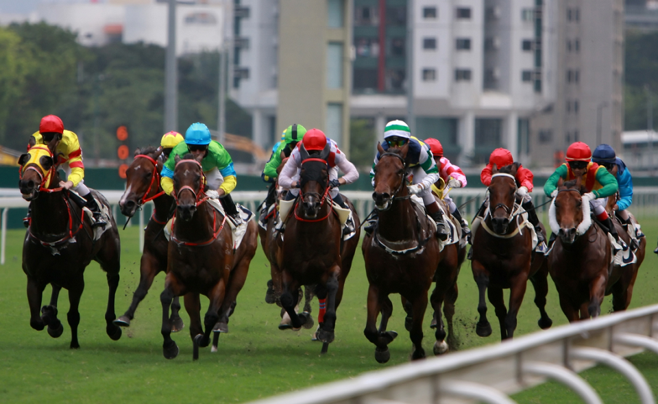 race at Hong Kong Jockey Club