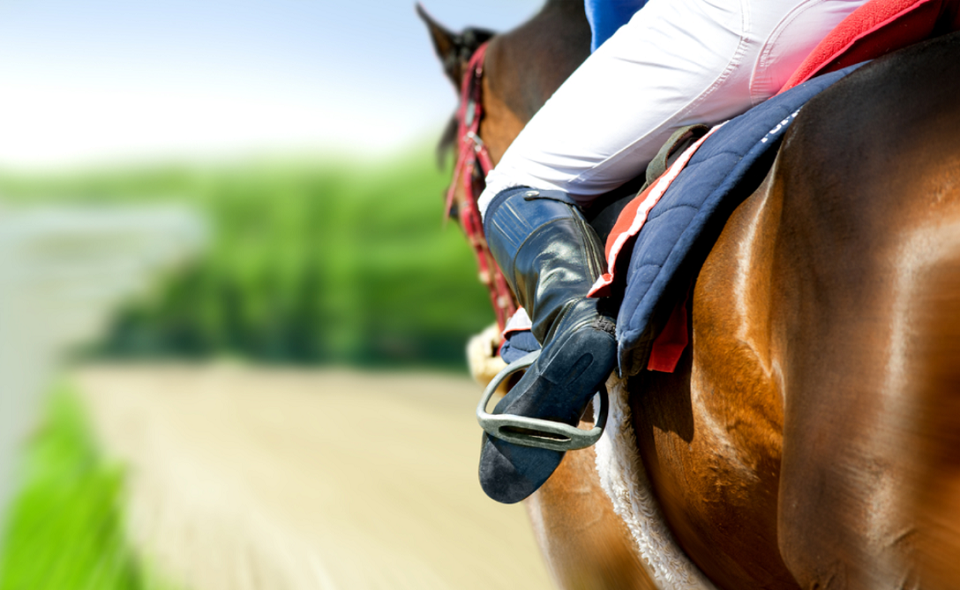 horse coming first on hippodrome racetrack