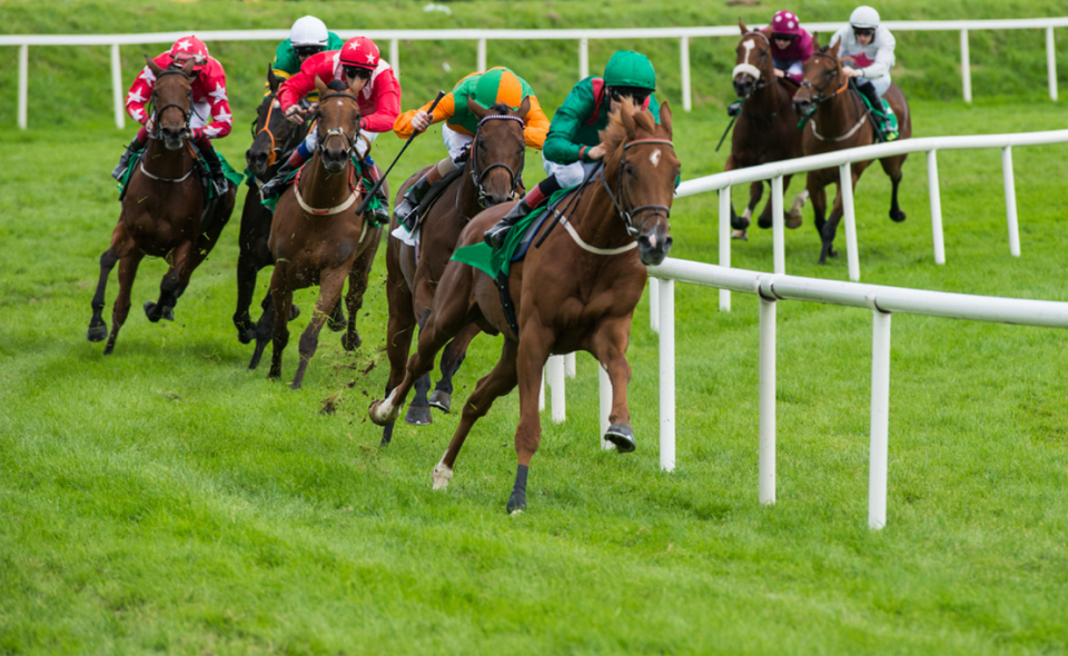 horse race taking the turn on the track at speed