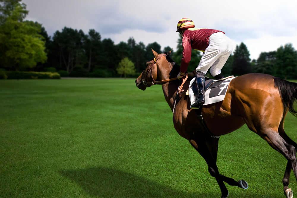 jockey riding a horse