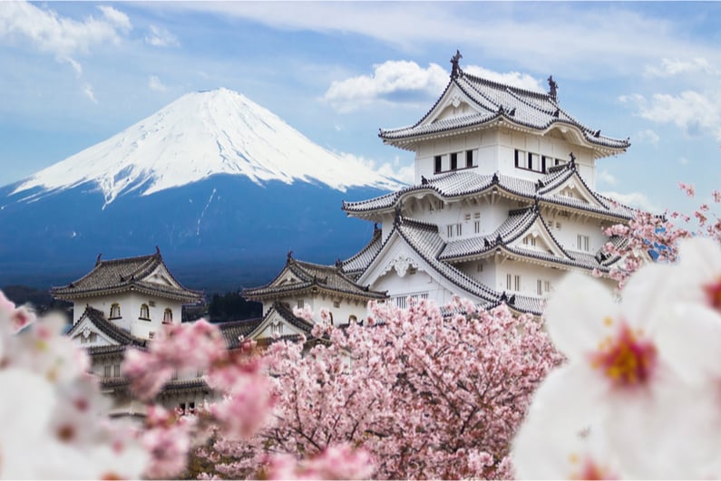 Japan's Himeji Castle with Mt. Fuji in the background