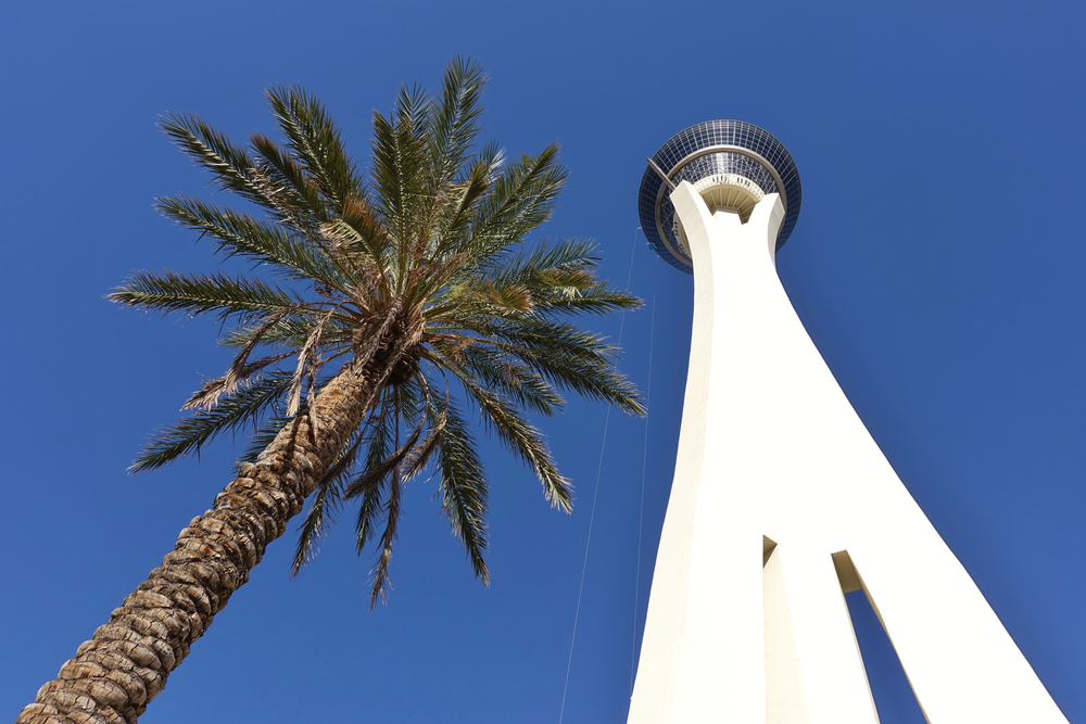 STRAT observation tower and a palm tree in Las Vegas