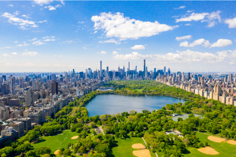 New York City's Central Park