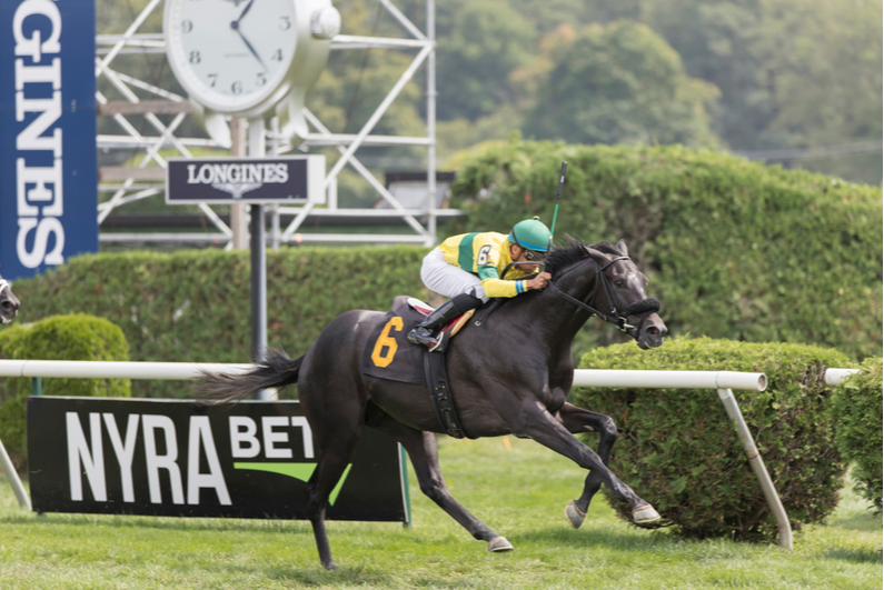 Horse running at Saratoga Springs racetrack