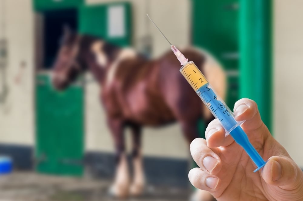 A needle with horse in background