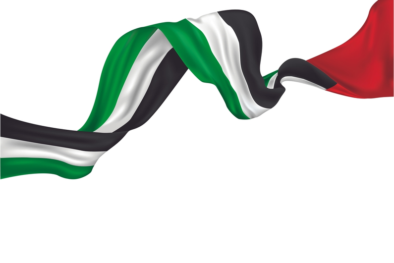 UAE long flag