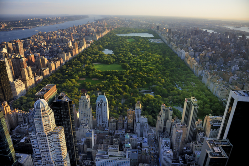 Aerial view of Central Park in NYC