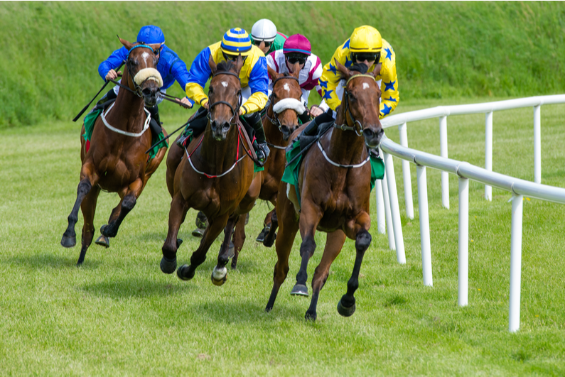 Horse race on a grass track