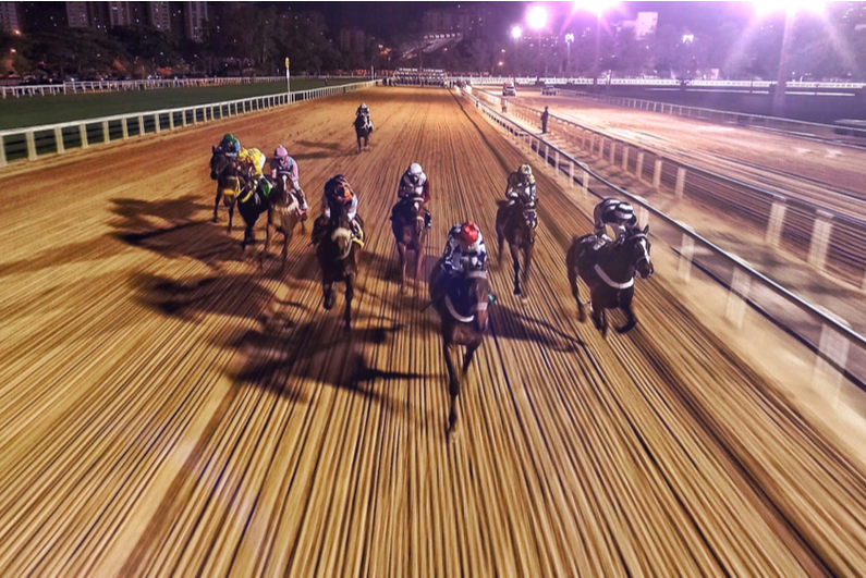 night horse race