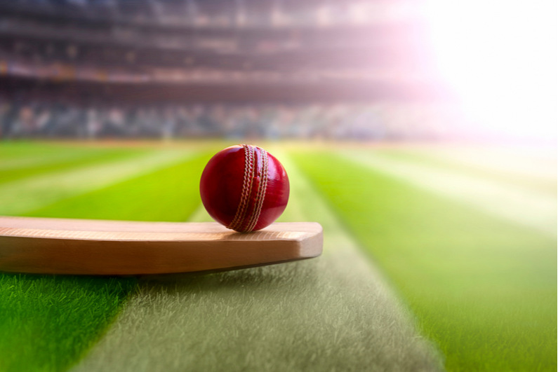 kriket topu ve yarasa