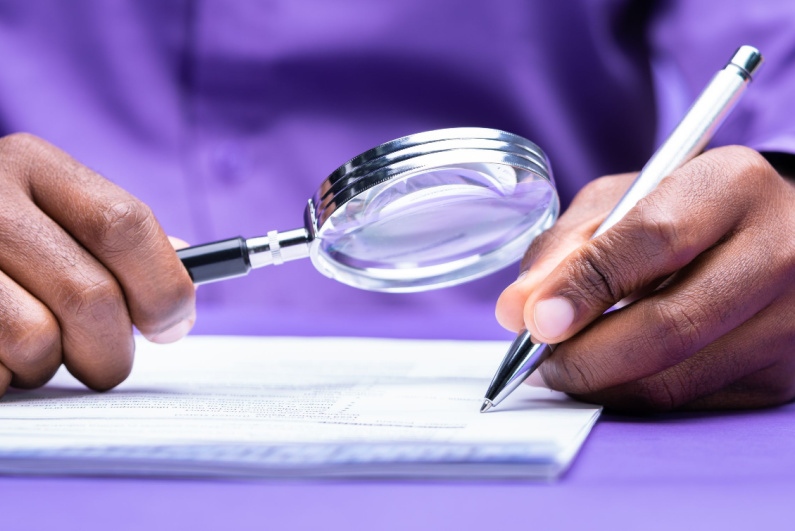 Auditor examining documents