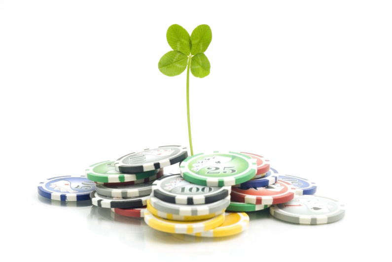 A four leaf clover grows from a stack of poker chips
