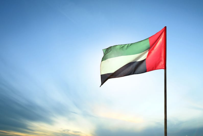 UAE flag