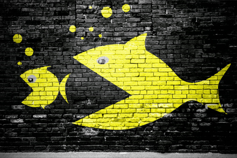 작은 물고기를 먹는 큰 물고기의 벽돌 벽에 페인트