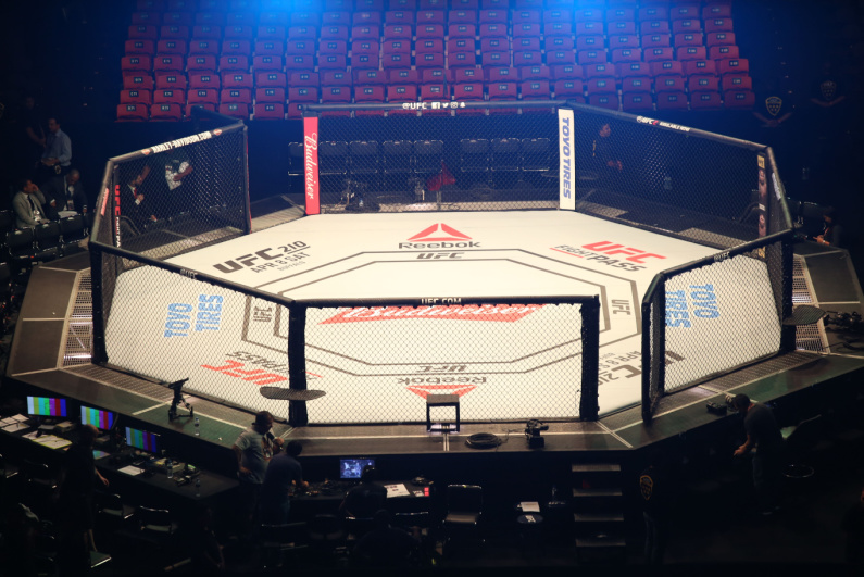 Empty UFC octagon