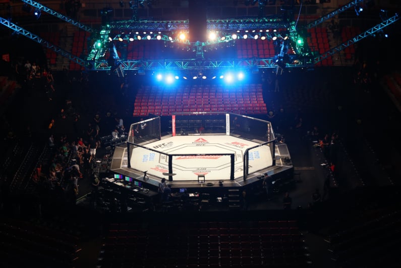 UFC octagon