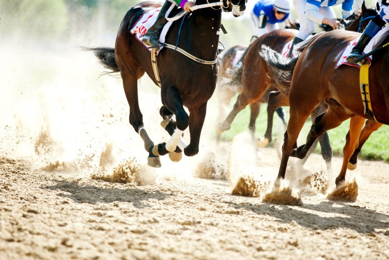 North Carolina’s Senate Adds Horse Racing to Betting Bill