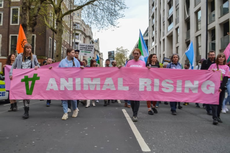 Animal Rising members at a march