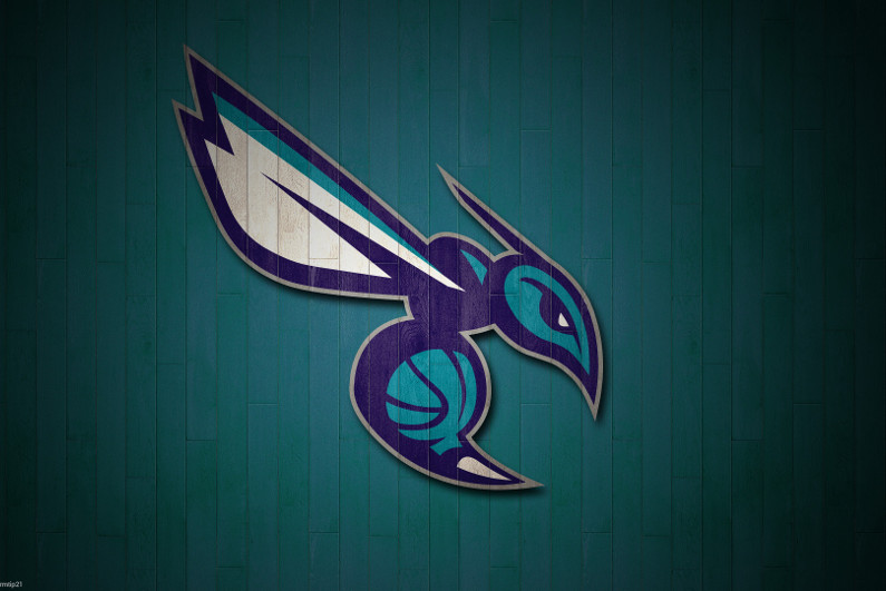 Charlotte Hornets alt logo